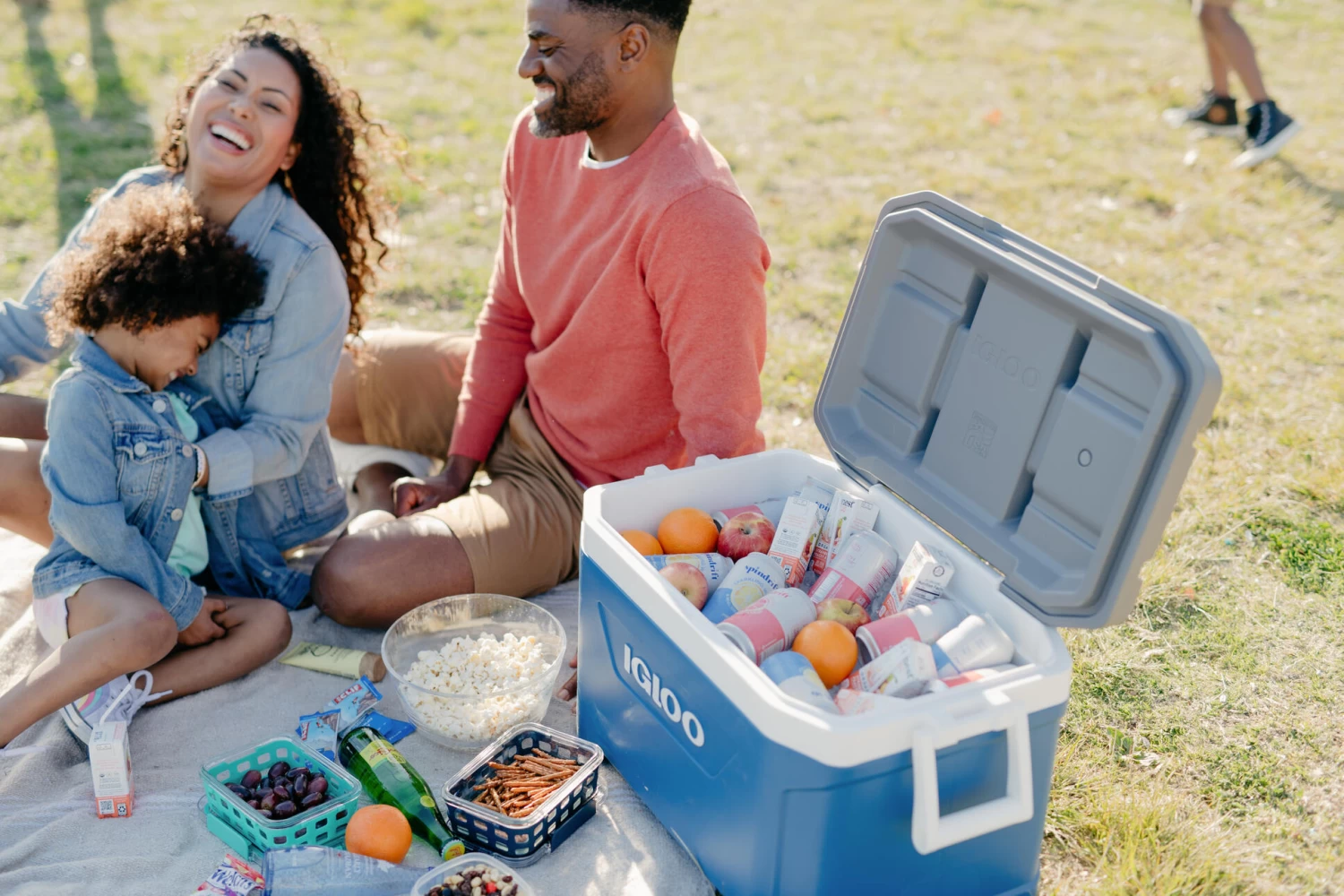 IGLOO Latitude 52QT Cool Box Red - Image 10